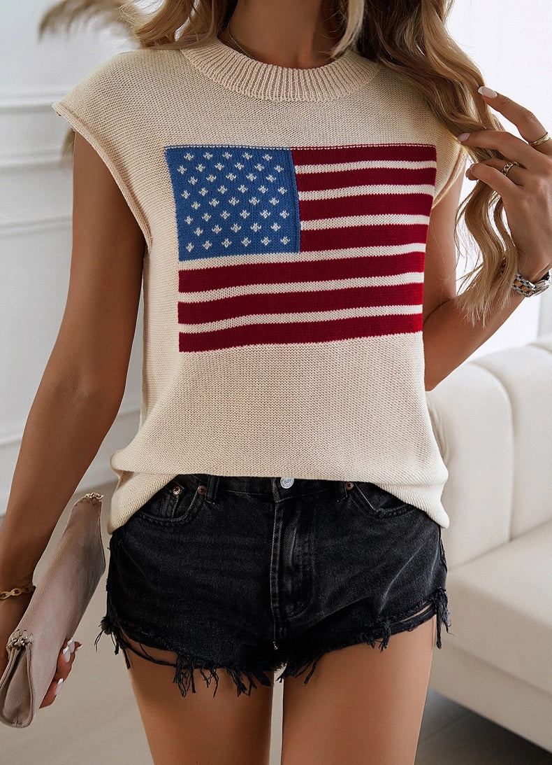 HIDDENBRAND Flag Sweater Vest