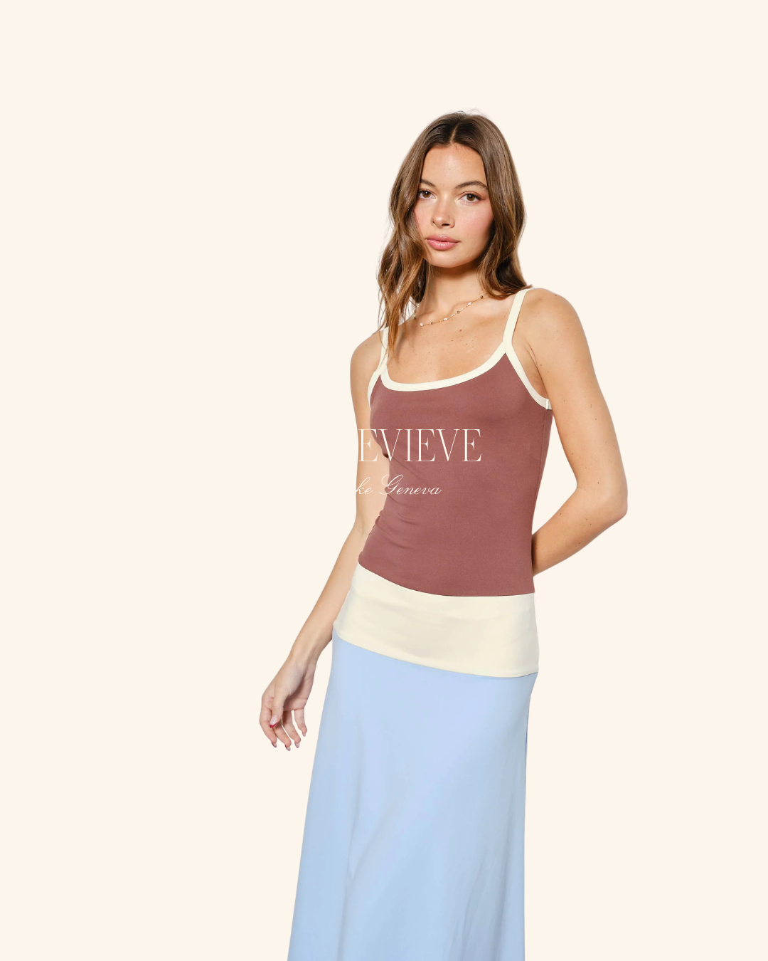 Pretty Garbage Brown Blue Color block Dress