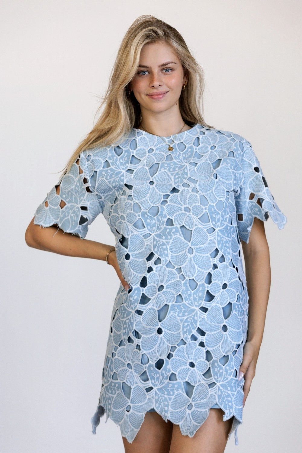 Storia Floral Embroidered Lace Mini Dress