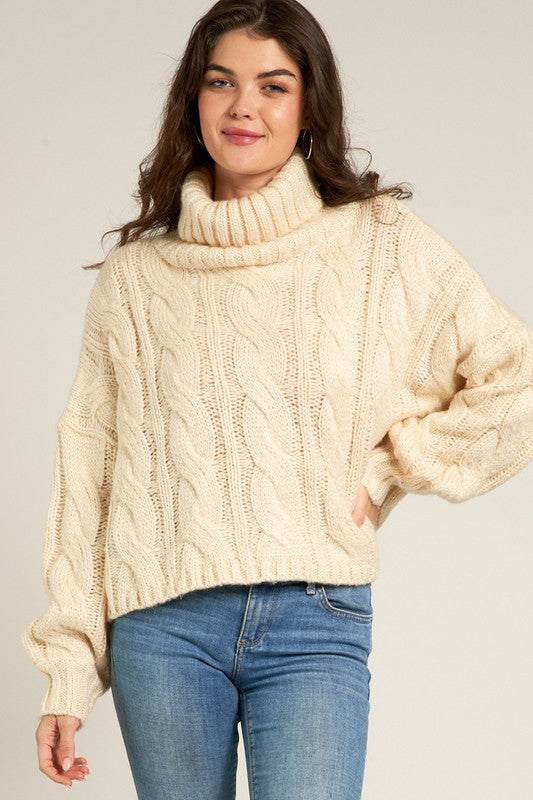 Knitted Turtleneck Sweater