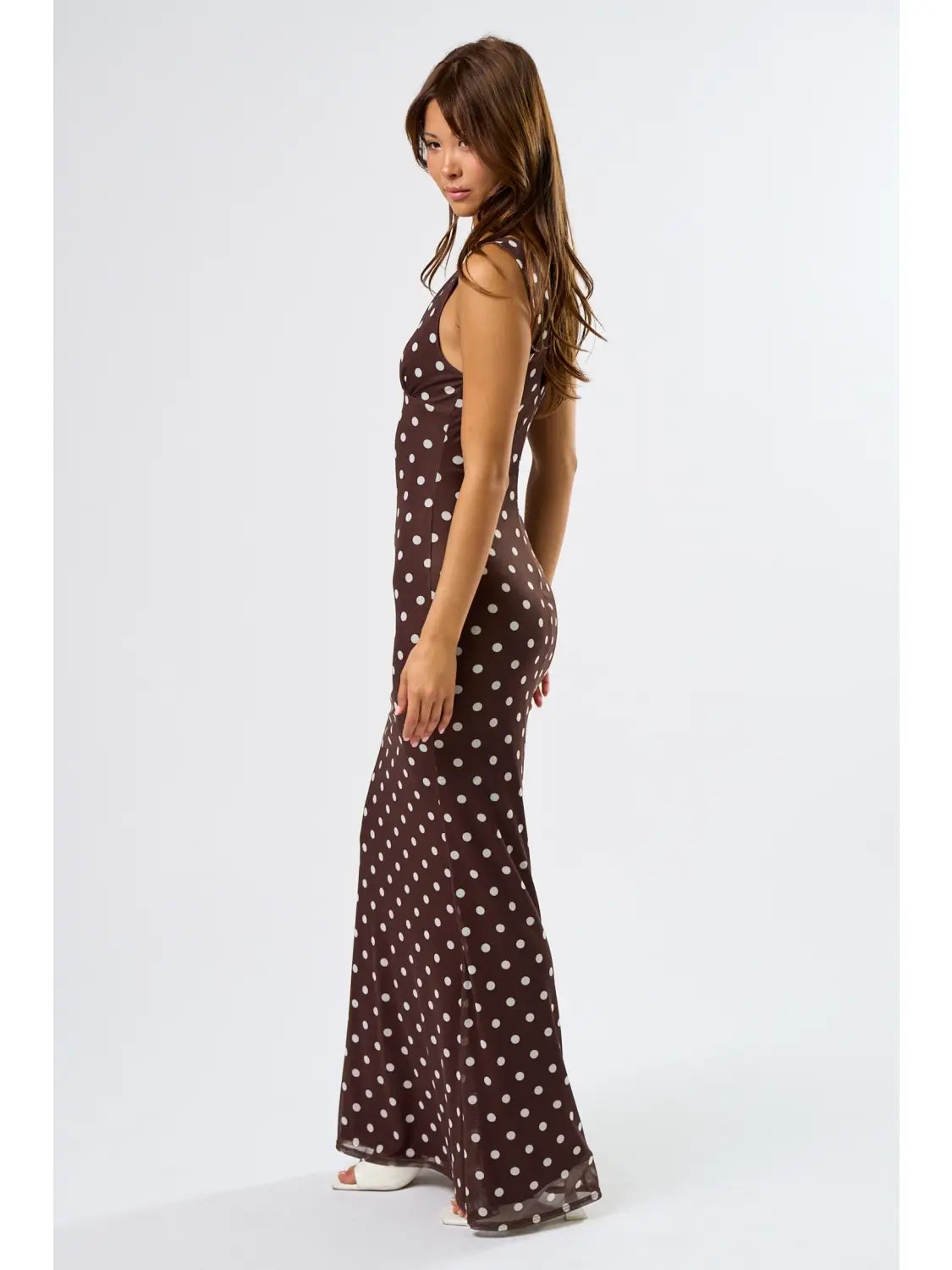 Blue Blush Chic Mesh Polka Dot Maxi Dress