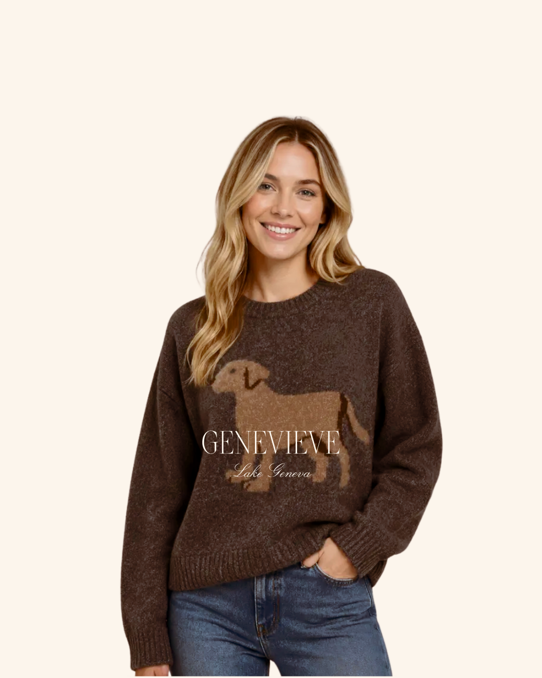 Dreamers Brown Puppy Sweater