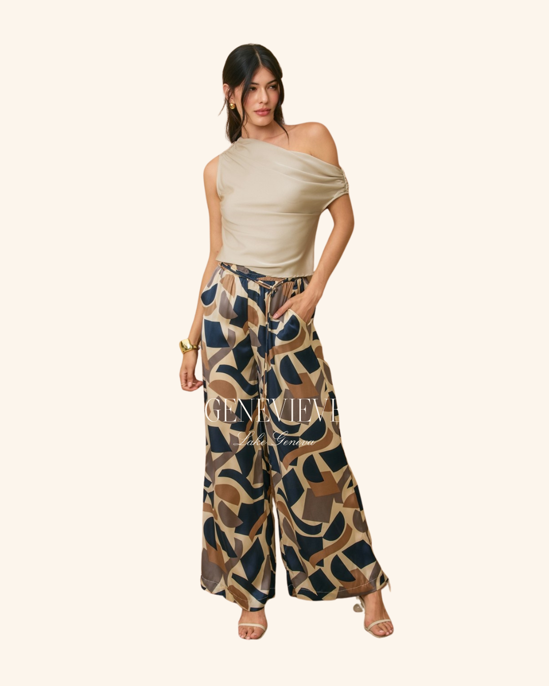 Dress Forum Navy & Taupe Geometric Pant