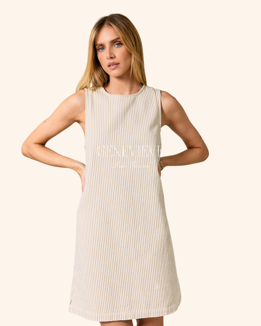 Sunday Edition Taupe Stripe Mini Dress