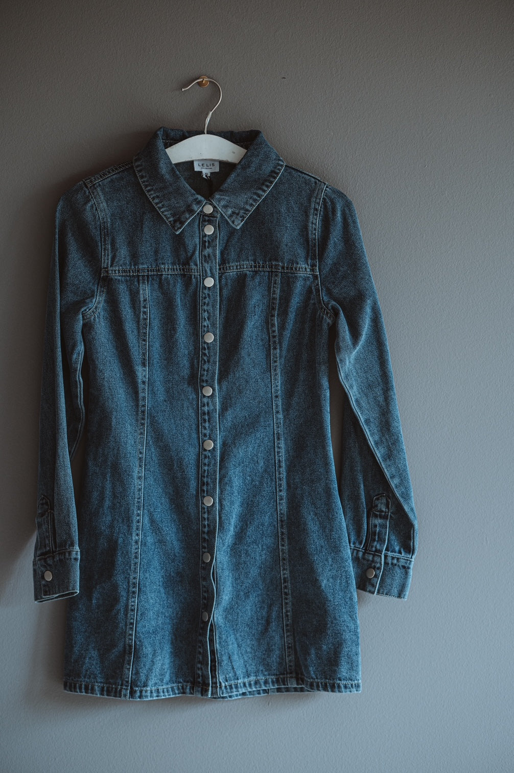 Le Lis Denim Mini Dress
