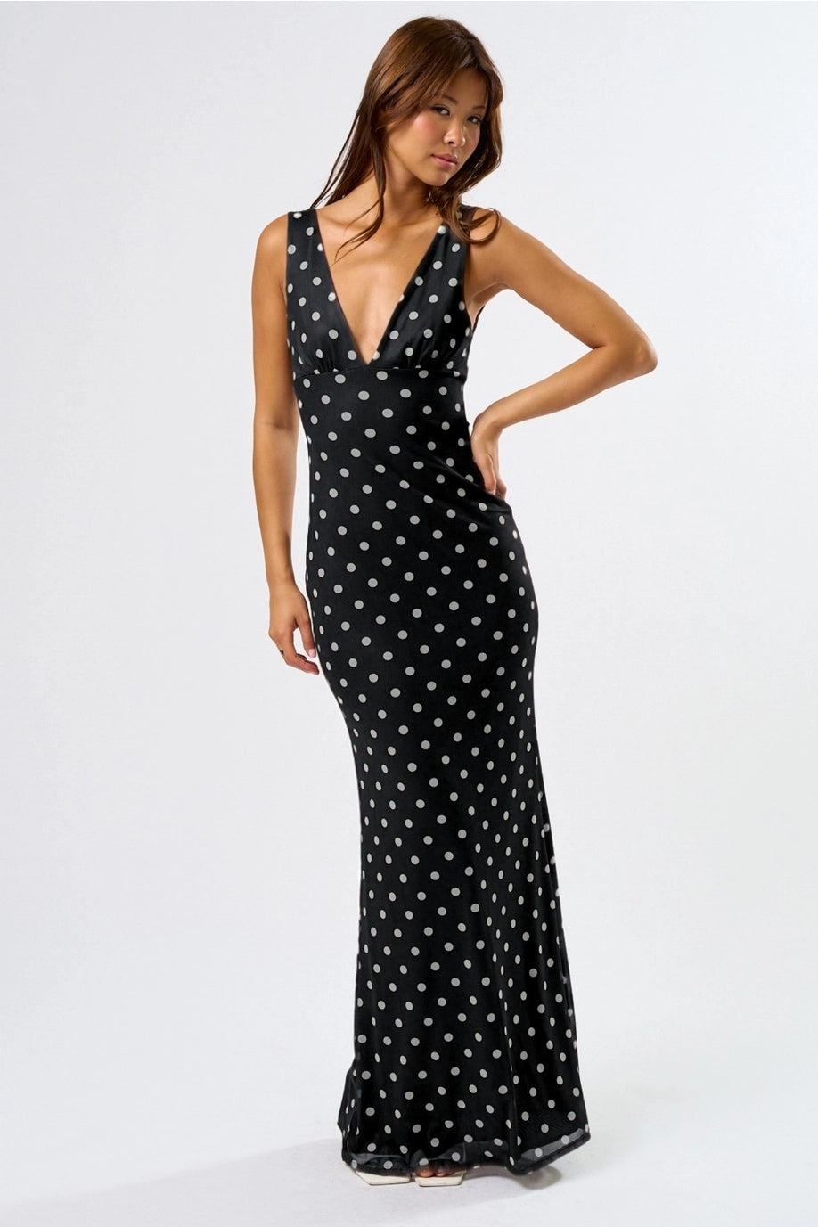 Blue Blush Chic Mesh Polka Dot Maxi Dress