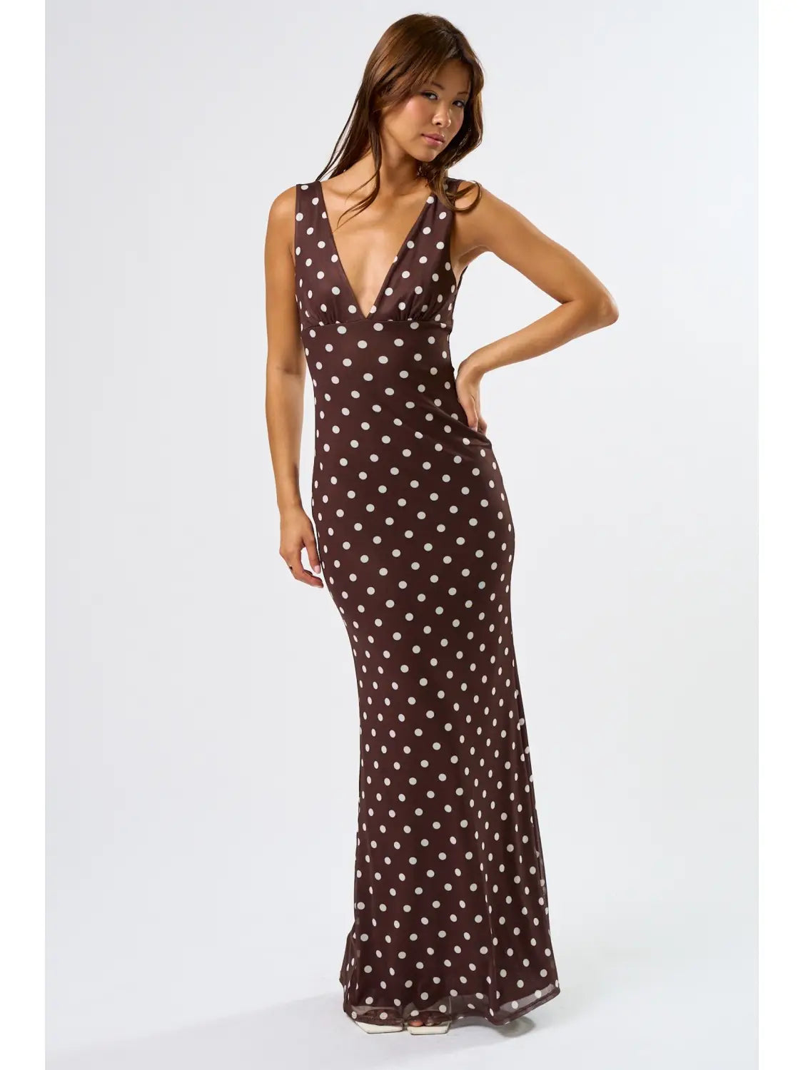 Blue Blush Chic Mesh Polka Dot Maxi Dress