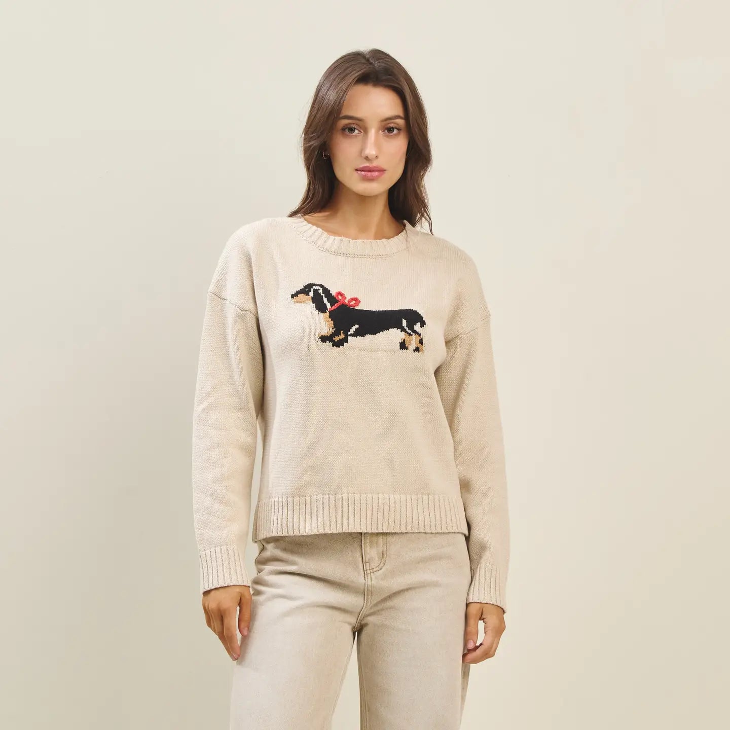 Able Bow Dog Sweater