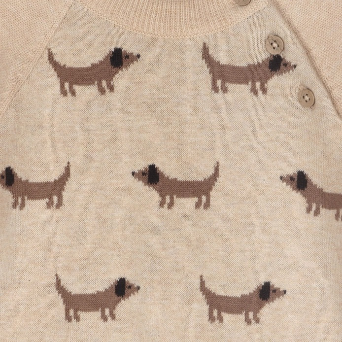 Viverano Doxie Dog Jacquard Raglan Pullover