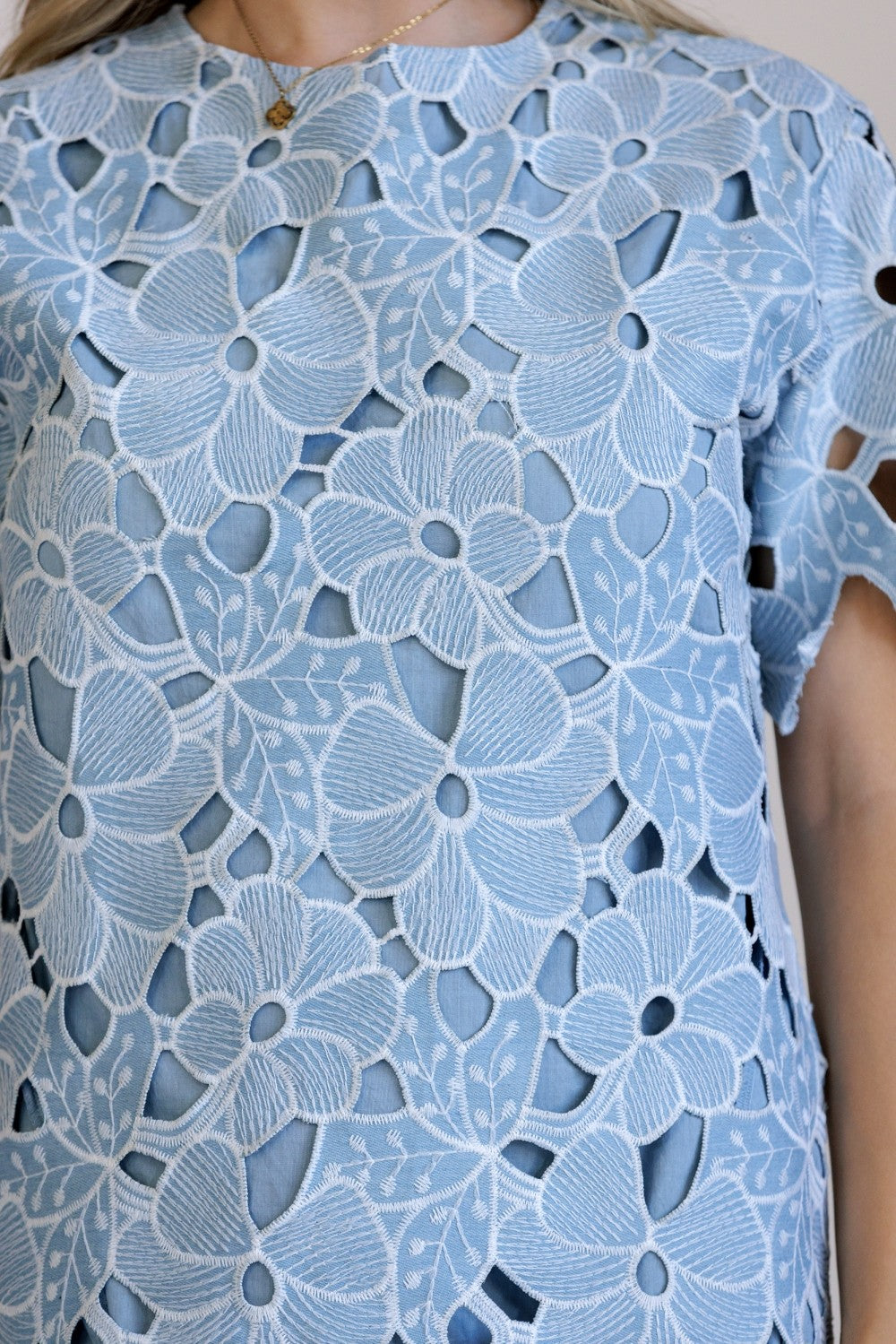 Storia Floral Embroidered Lace Mini Dress