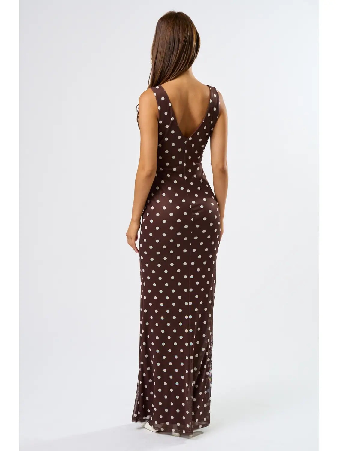 Blue Blush Chic Mesh Polka Dot Maxi Dress